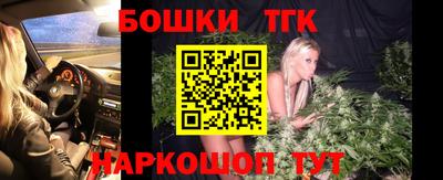 индика Шахты