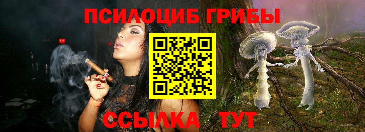 Псилоцибиновые грибы GOLDEN TEACHER Урюпинск