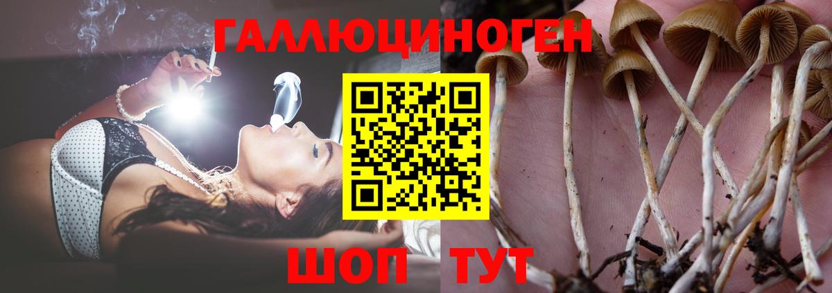 Псилоцибиновые грибы MAGIC MUSHROOMS  Вход с VPN  Урюпинск 